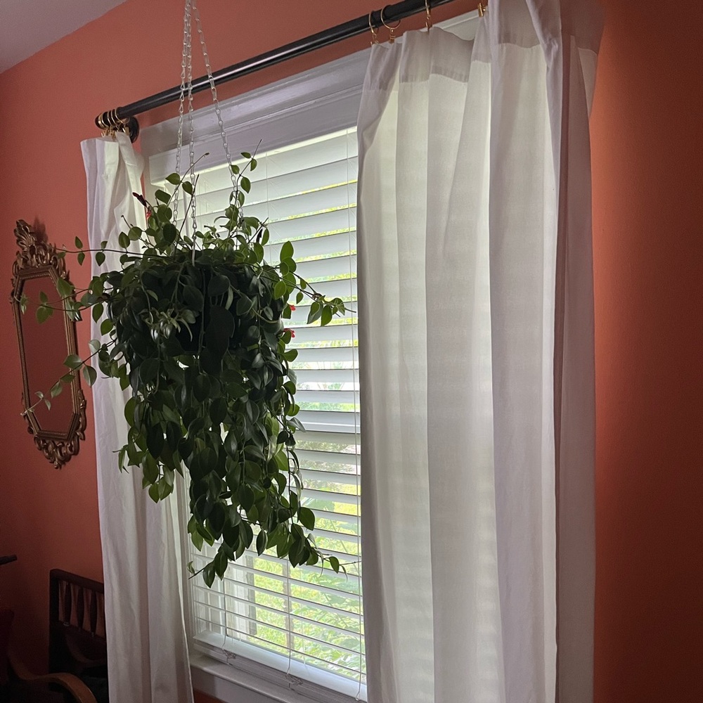 Pottery barn white curtains